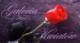 Internet Květinářství, Květ galerie 