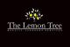 Lemon Tree - Warszawa jazykové kurzy 
