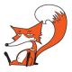 Fox Opole