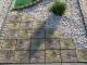 www.gardendekor.pl www.gardendekor.pl