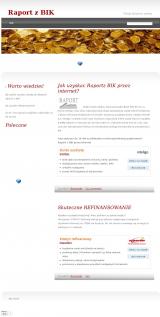 Informe BIK en el 