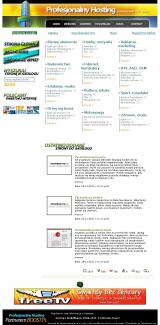 Profesjonalny katalog, Katalog hostingowy
