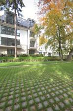 Ekologia jest trendy – jak stworzyć nawierzchnię biologicznie czynną?