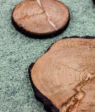 PINO - spragnieni natury