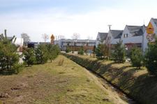 Dlaczego warto zamieszkać w sąsiedztwie lasu?