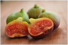 Figa, najsłodszy kwiat świata