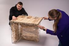 Konopie w meblarstwie odpowiedzią na Europejski Zielony Ład