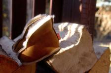 Ziajok – pierwsze buty w życiu dziecka