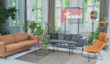 AUKCJA Muzycznej kanapy trwa!