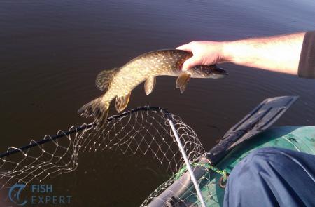 C&R - jeśli masz to robić, rób to dobrze