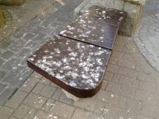 Wakacyjne wykroczenie, czyli słów kilka o dokarmianiu