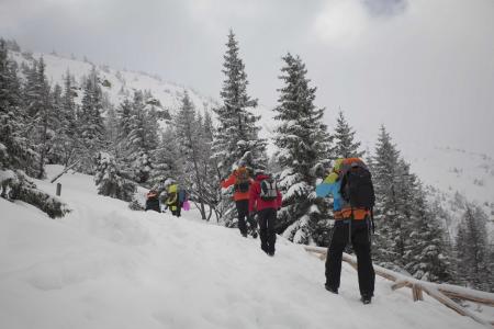 Zdjęcie ilustracyjne 01 (mat. pras.)