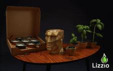 AMERYKANIE ZACHWYCILI SIĘ POLSKIMI ŚWIECZKAMI – FIRMA ZEBRAŁA PONAD 10 TYS. DOLARÓW!