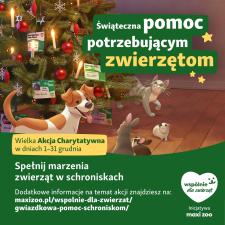 Świąteczna pomoc dla zwierząt w potrzebie