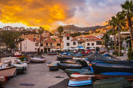 Camara de Lobos Madera
