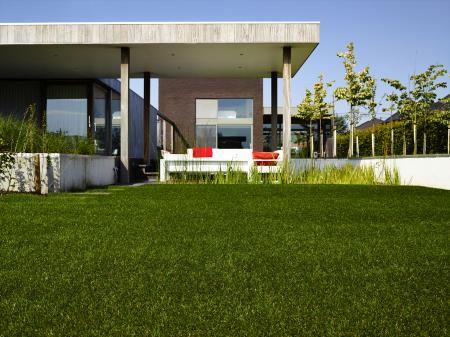 MultiGrass - trawa, której nie trzeba kosić.