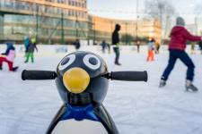 Wracamy na lód na Wilanowie - Royal Wilanów zaprasza!