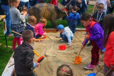 Warsztaty młodego paleontologa to jedna z atrakcji, jakie przygotował Park Nauki i Rozrywki