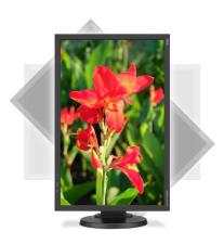 Pierwszy monitor NEC z technologią Low Blue Light Plus chroniącą wzrok użytkownika