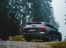 Volvo znów wypożyczy choinki