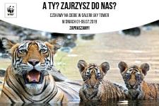 WWF Polska w Sky Tower: razem dla ochrony środowiska