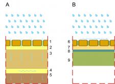 SPOSOBY SPOINOWANIA KOSTKI BRUKOWEJ – TECHNOLOGIA I ESTETYKA