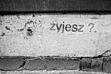 Czarne, białe. Białe, czarne –  wystawa Galerii Warszawa  w Domotece