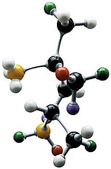 Karnityna-budowa cząsteczkowa