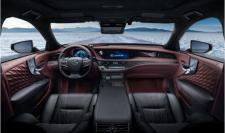 LS – zajrzyj do środka