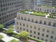 Jak zbudować zielony ogród na dachu?