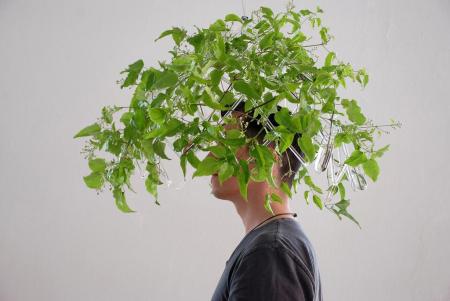 Odnowa, projekt Agnieszka Bar