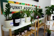 Punkt adopcji roślin w Galerii Łomianki