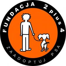 „Tydzień z Psiakami” w Arkadach Wrocławskich