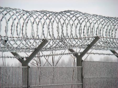 Concetina na odkosach_fot. Legi Polska