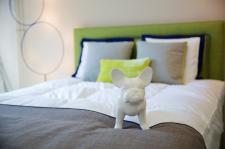 Sen – naturalny sposób na urodę. Cotton&Co. Podpowiada