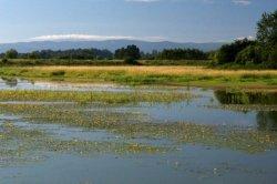 Dolina Karpia zasoby naturalne