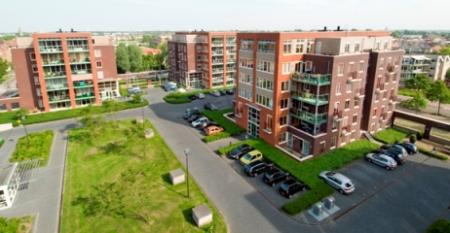 Osiedle mieszkaniowe Westerhaghe w Rijnsburg w Holandii- system zielonych dachów intensywnych