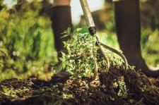 Przygotowanie gleby na wiosnę - nowości XactTM firmy Fiskars