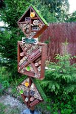 Spokojna przystań dla skrzydlatych sprzymierzeńców