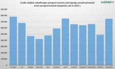 Ratowanie plików: czego żądają szantażyści w zamian za odszyfrowanie danych użytkownika