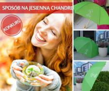 Pokonaj jesienną chandrę z Nowymi Ogrodami!