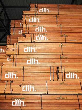 Drewno egzotyczne składowane w magazynach.  Fot. Maciej Mazur