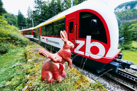 Brünig Safari - fot Zentralbahn