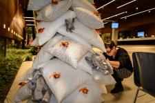 Nietypowa Wystawa Choinek w Parku Handlowym Matarnia