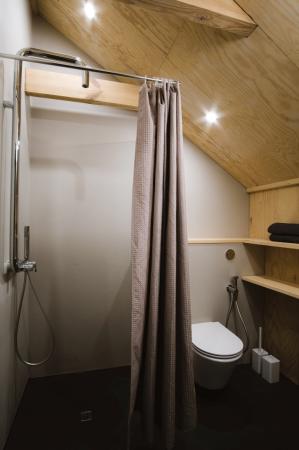 fot. Bartosz Świniarski