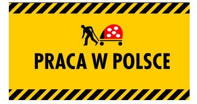 praca w polsce