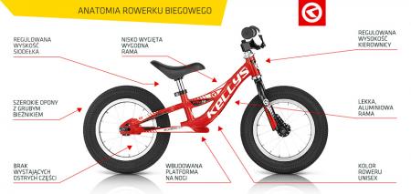 Anatomia biegówki Kellys
