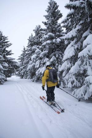 Zdjęcie ilustracyjne 03 (mat. pras.)