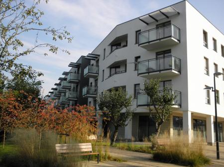 Wolne Miasto - Grupa Eco