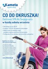 Posprzątają Twój samochód... co do okruszka!